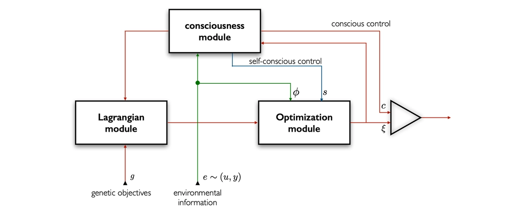 img of An Introduction to Cognidynamics